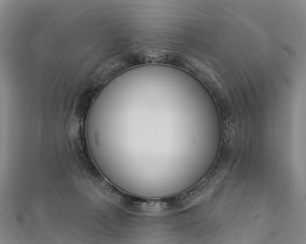 X0000112720225200909031423