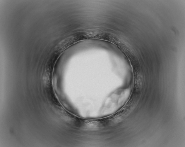 X0000112720226200909031423