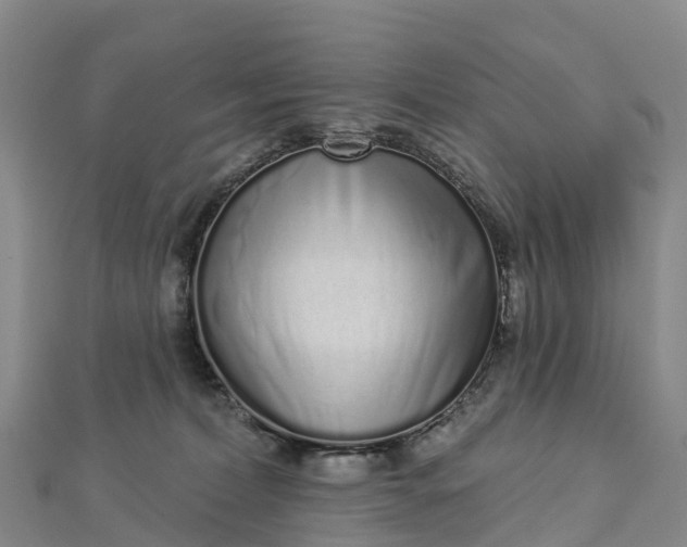 X0000112720228200909031423