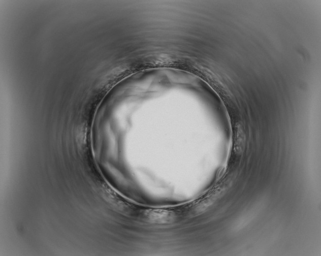 X0000112720230200909031423