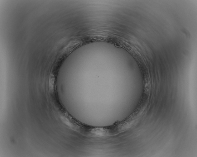 X0000112720231200909031423