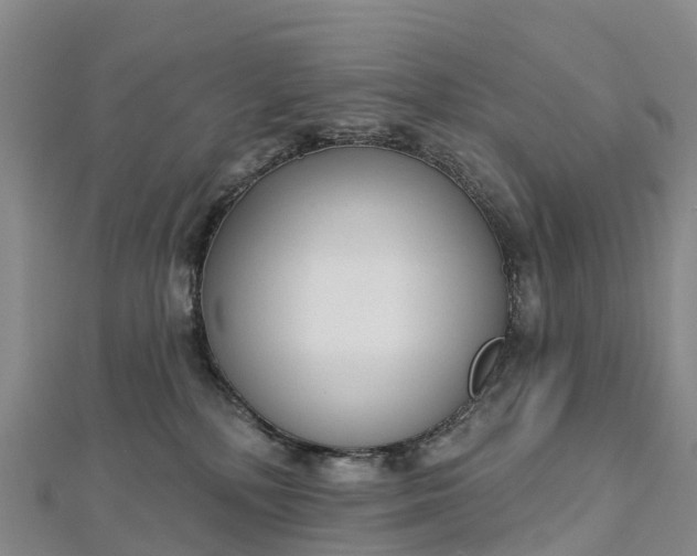 X0000112720232200909031423