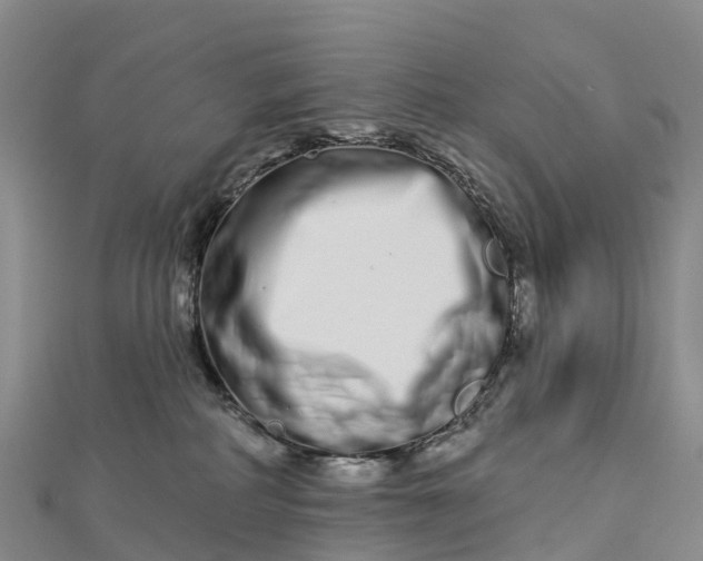 X0000112720234200909031423