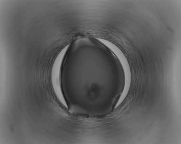 X0000112720235200909031423