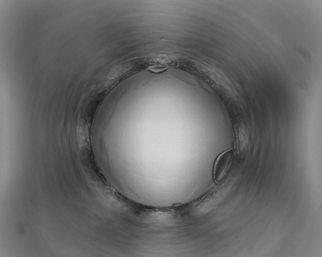 X0000112720236200909031423