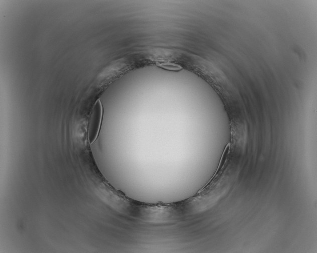 X0000112720237200909031423