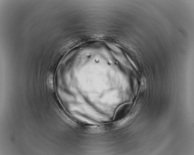 X0000112720238200909031423