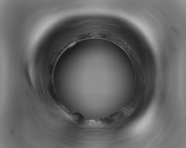 X0000112720239200909031423