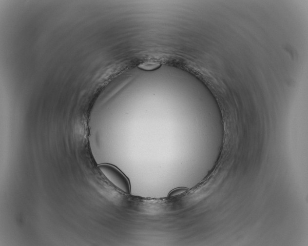 X0000112720240200909031423