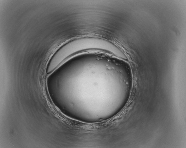 X0000112720241200909031422