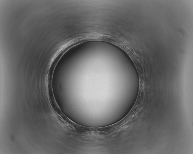 X0000112720244200909031422