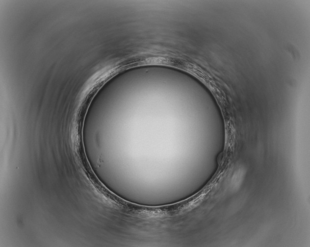 X0000112720245200909031422