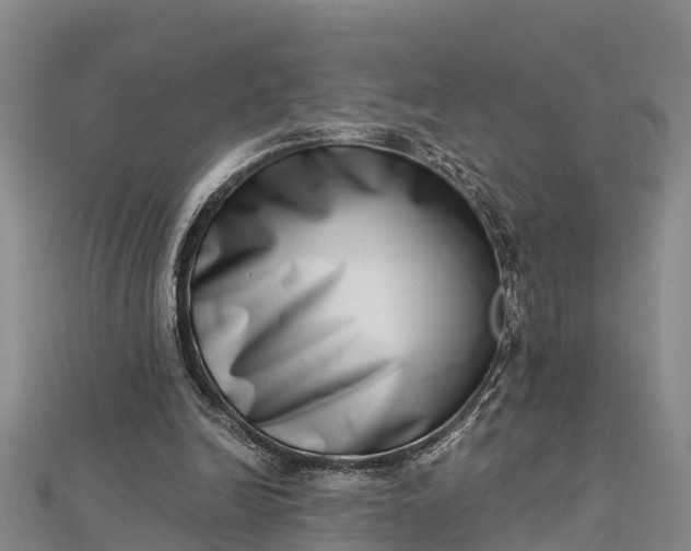 X0000112720246200909031423