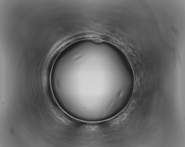 X0000112720247200909031423