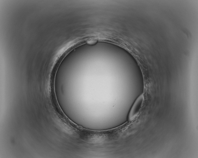 X0000112720248200909031423