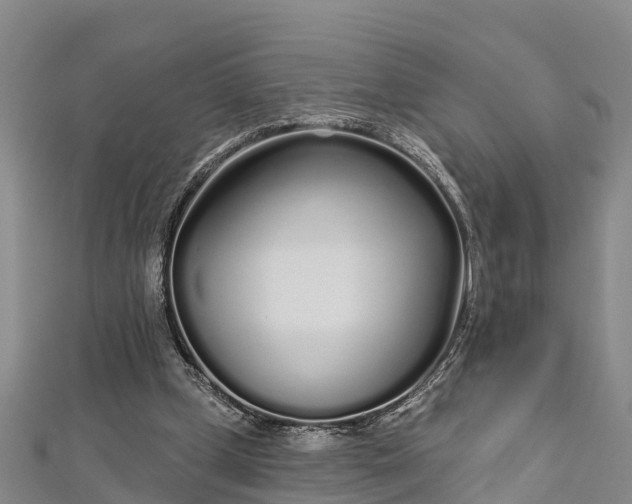 X0000112720249200909031423