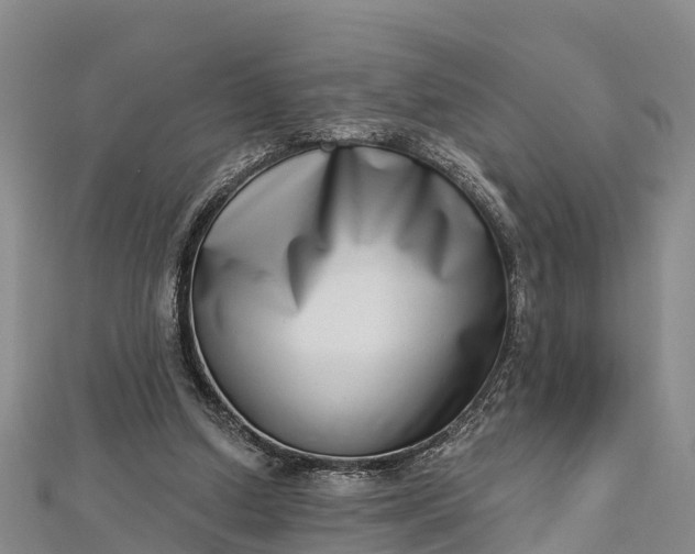 X0000112720250200909031423