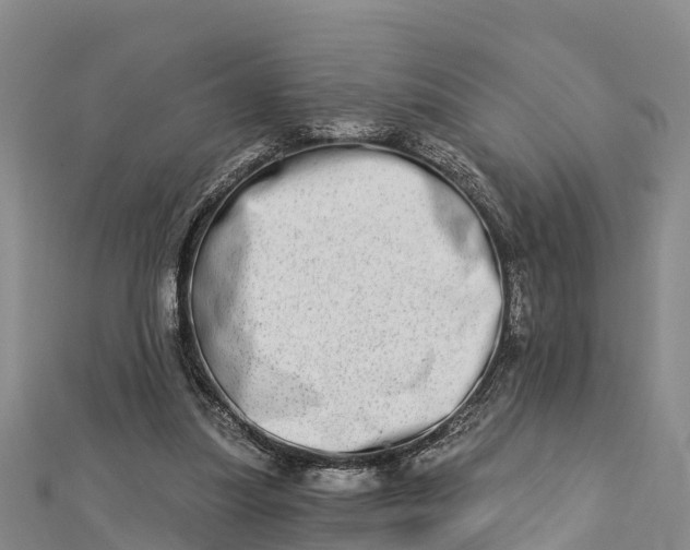 X0000112720251200909031423