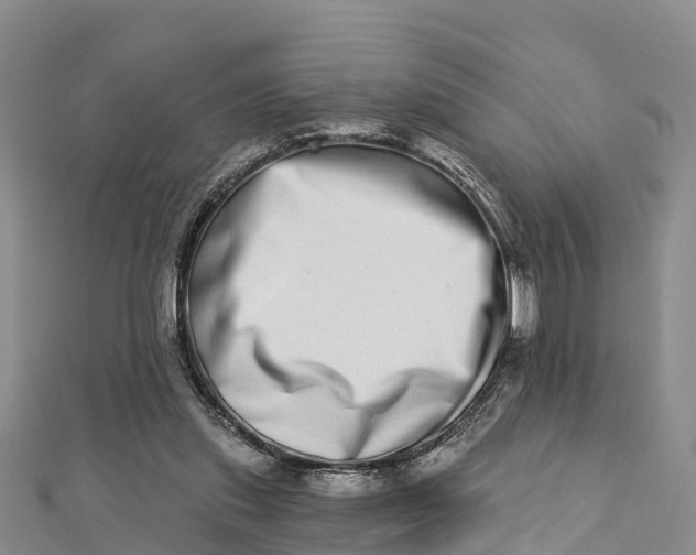 X0000112720253200909031423