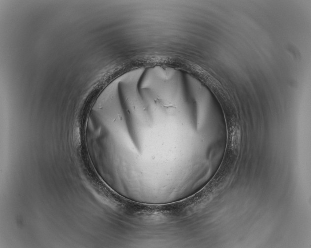 X0000112720254200909031423