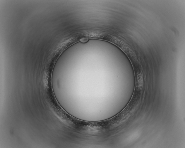 X0000112720255200909031423