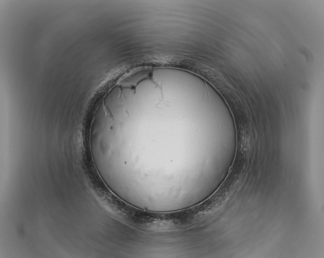 X0000112720256200909031423