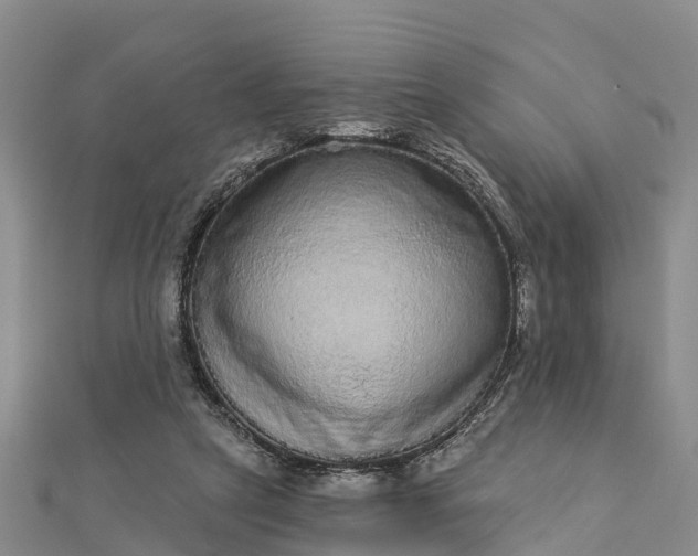 X0000112720257200909031423