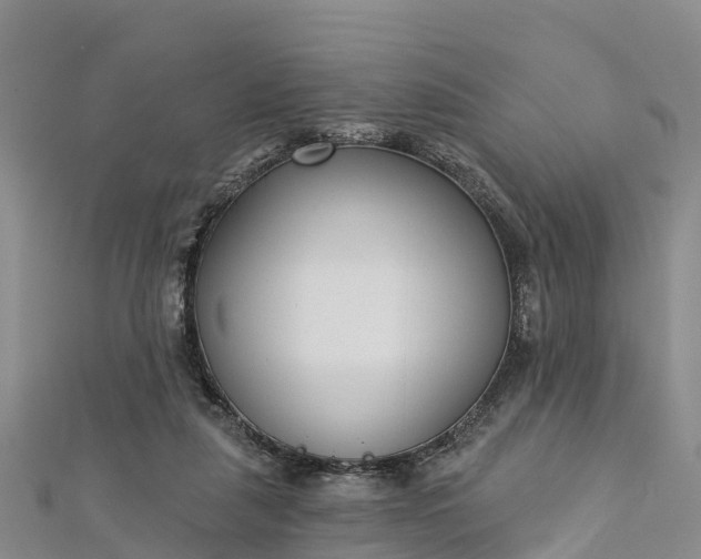 X0000112720259200909031423