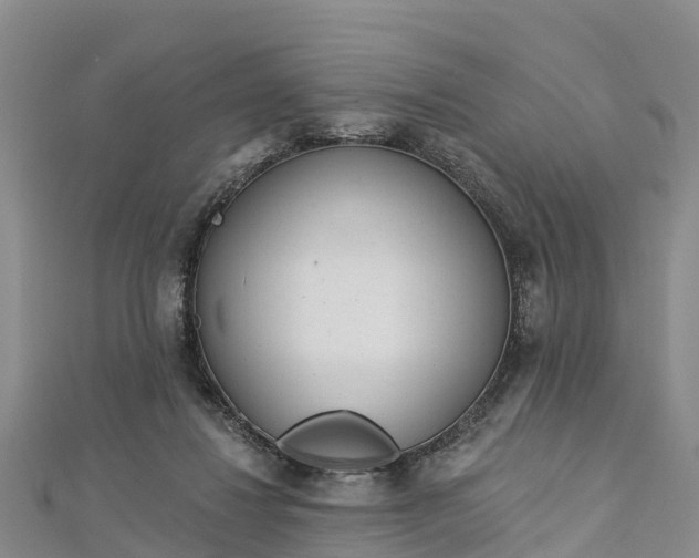 X0000112720260200909031423