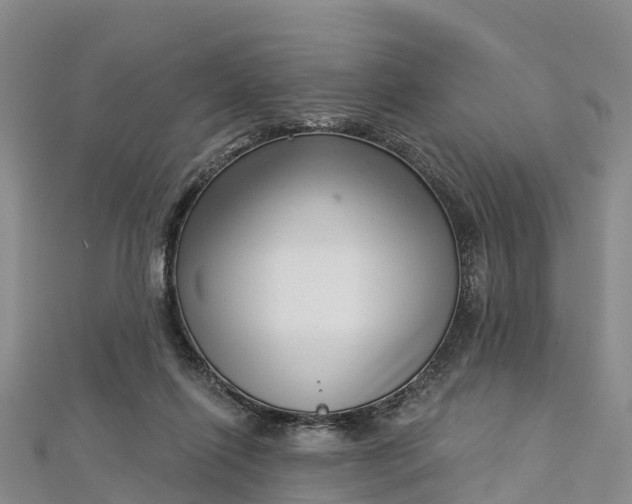 X0000112720262200909031423