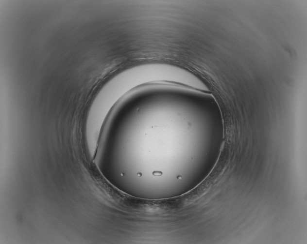 X0000112720264200909031423