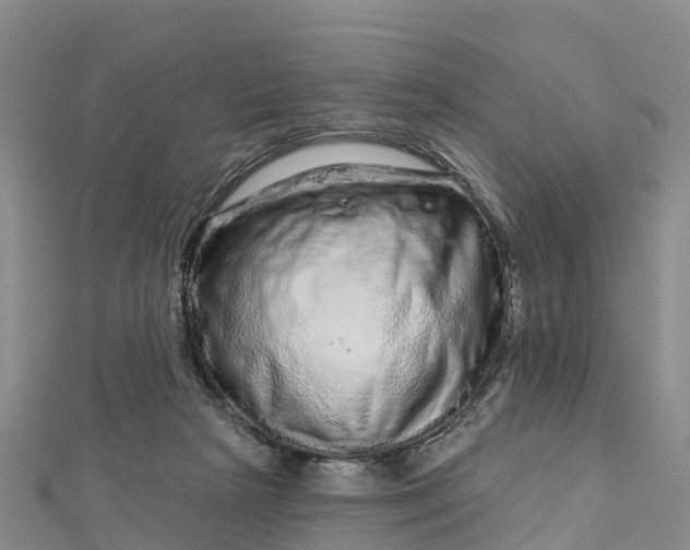 X0000112720265200909031423