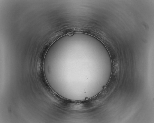 X0000112720266200909031423