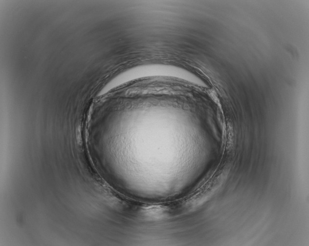 X0000112720269200909031423