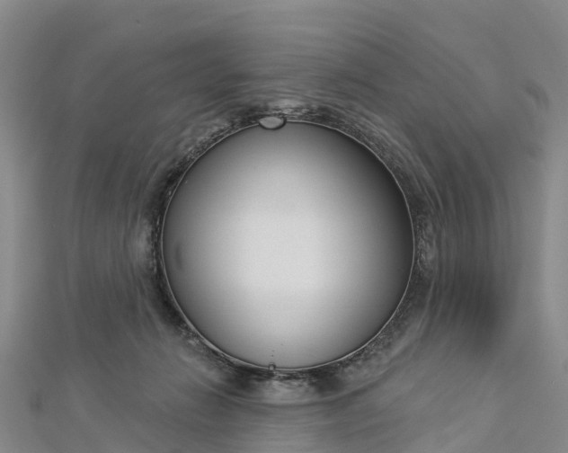 X0000112720270200909031423