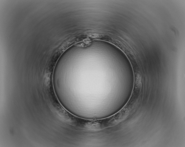 X0000112720271200909031423