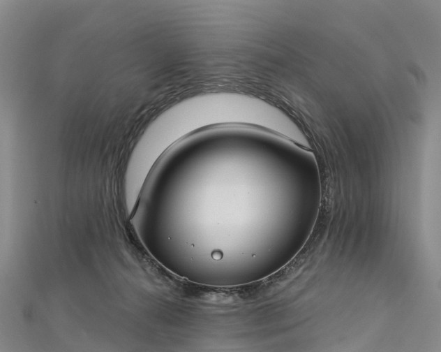 X0000112720272200909031423