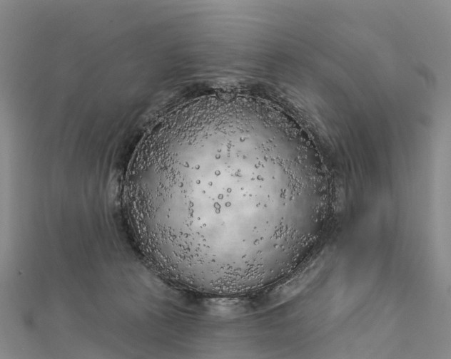 X0000112720273200909031423