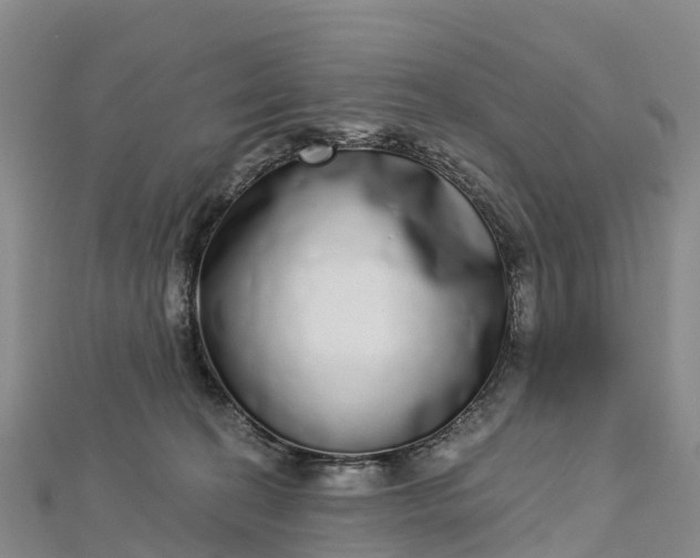 X0000112720274200909031423