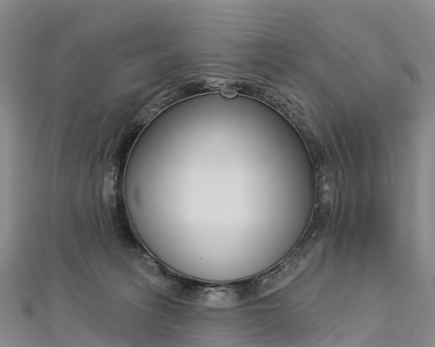 X0000112720275200909031423