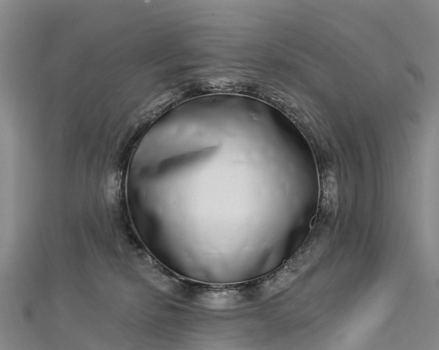 X0000112720278200909031423