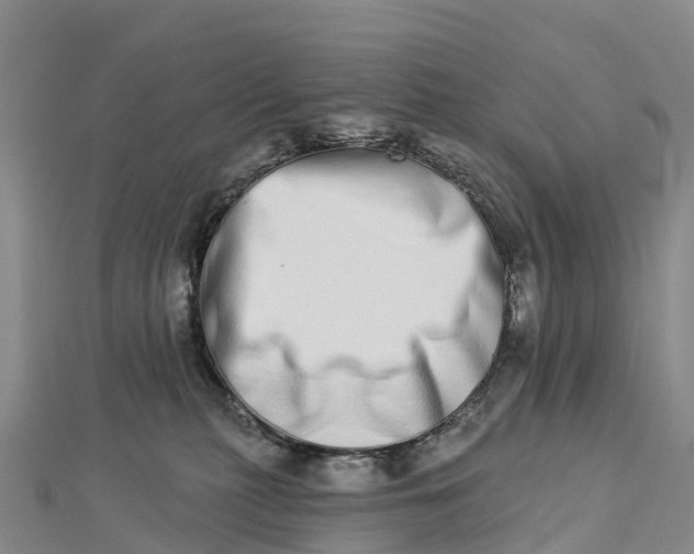 X0000112720279200909031423