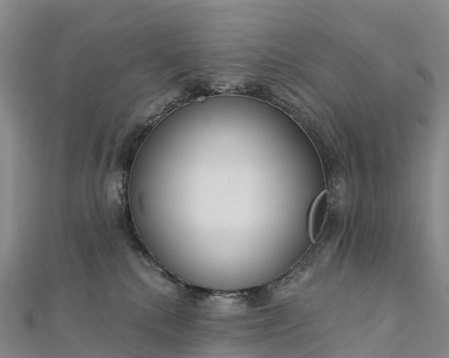 X0000112720280200909031423