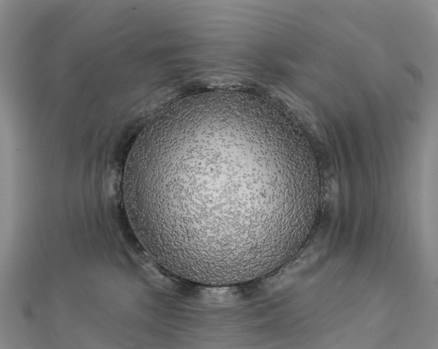 X0000112720281200909031423