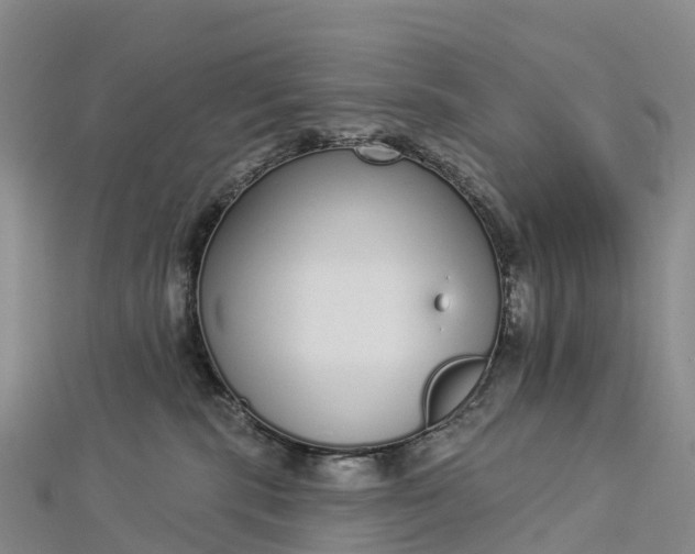 X0000112720283200909031423