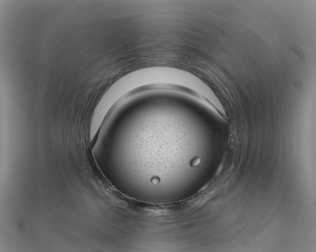 X0000112720284200909031423