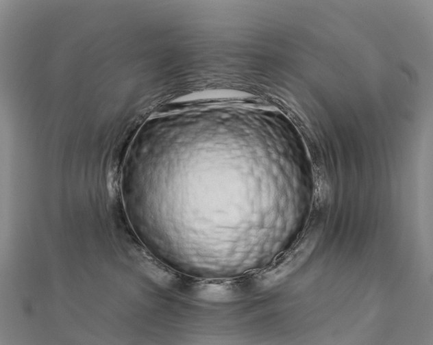 X0000112720285200909031423