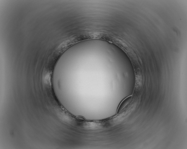 X0000112720286200909031423