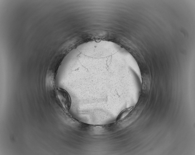 X0000112720287200909031423