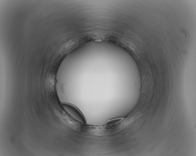 X0000112720288200909031423